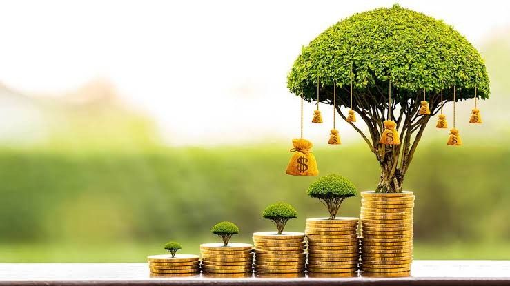 Phát Lực – Phát Tài: Làm nông có lời thật, không chỉ đủ sống